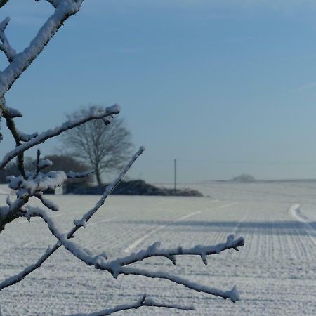 Fewo Emsland Emsbüren Esterno foto