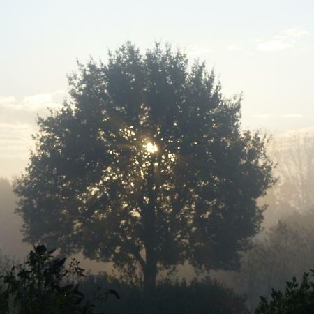 Fewo Emsland Emsbüren Esterno foto