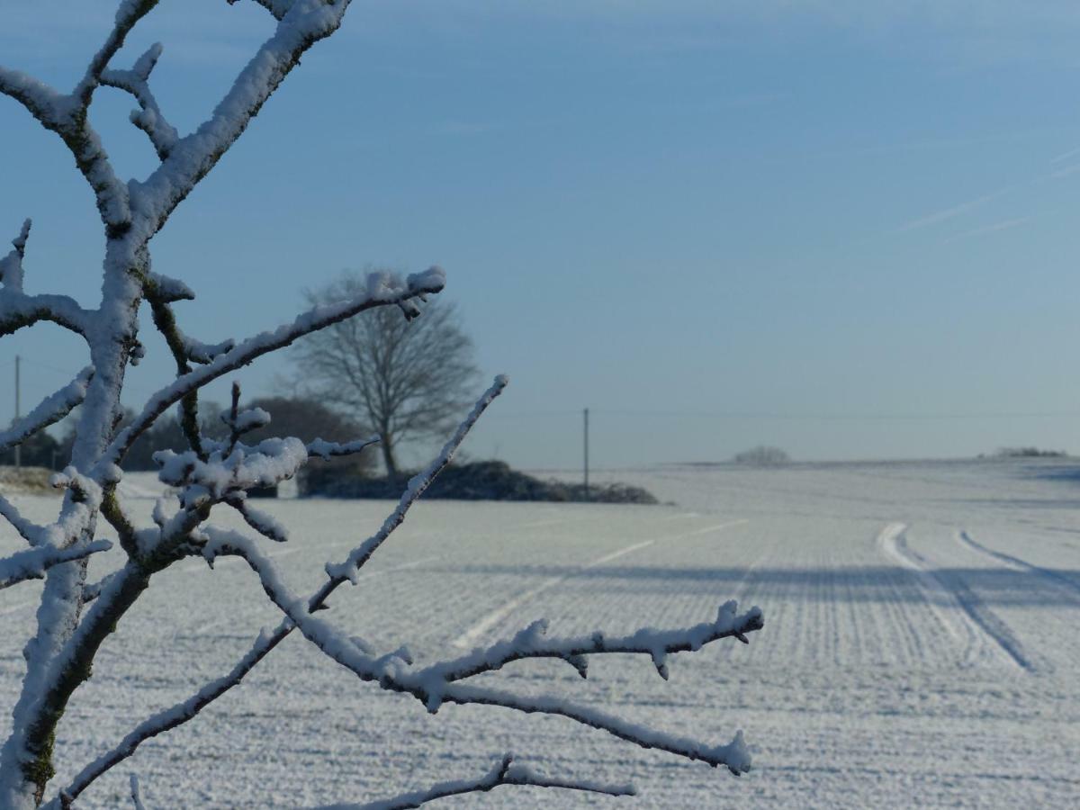 Fewo Emsland Emsbüren Esterno foto