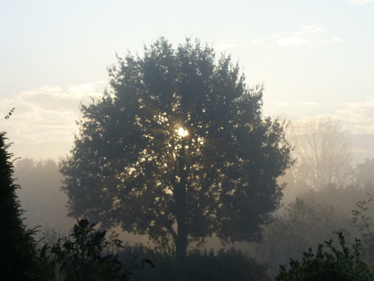 Fewo Emsland Emsbüren Esterno foto